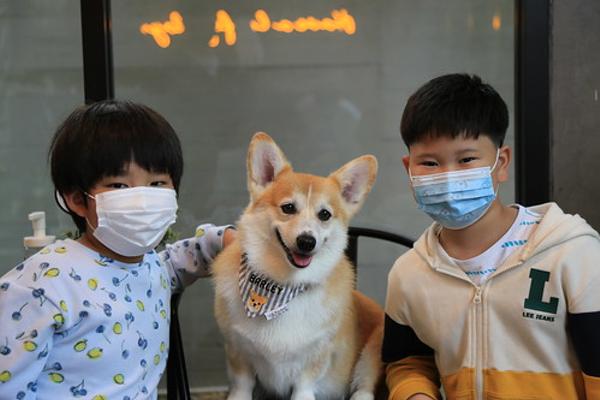 ボケ犬幽霊の面白ネタ 写真 画像 の人気まとめ タグ ボケて Bokete ボケ犬幽霊の面白ネタ 写真 画像 の人気まとめ タグ ボケて Bokete