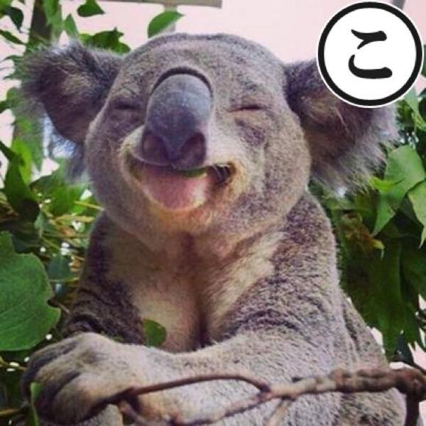 この葉っぱ、気持ちいいぞ〜 コアラへのボケ[101546588] ボケて（bokete）