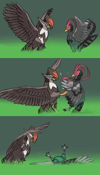 ムクホークとケンホロウ 17年10月31日夕方ごろにあっくんさんが投稿したお題 ボケて Bokete