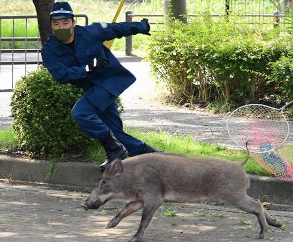 ニーブラの面白ネタ 写真 画像 の人気まとめ タグ ボケて Bokete ページ2