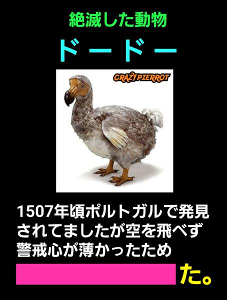 ドードーの面白ネタ 写真 画像 の人気まとめ タグ ボケて Bokete