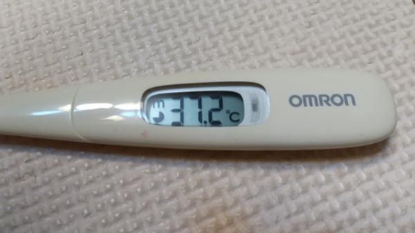 微熱のお題一覧 ボケて Bokete