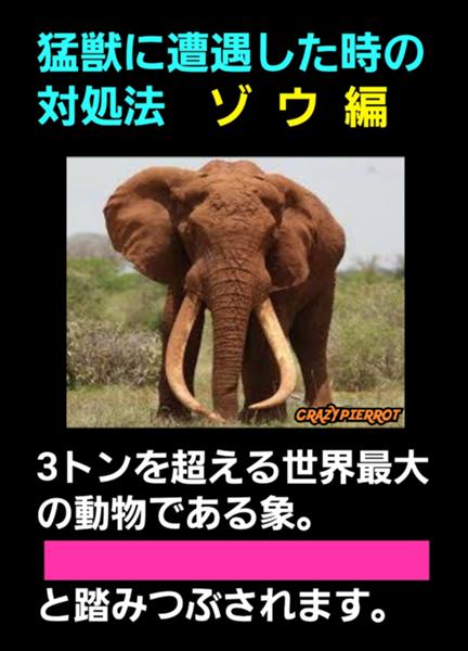 インド象の面白ネタ 写真 画像 の人気まとめ ラベル ボケて Bokete ページ60 インド象の面白ネタ 写真 画像 の人気まとめ ラベル ボケて Bokete ページ60