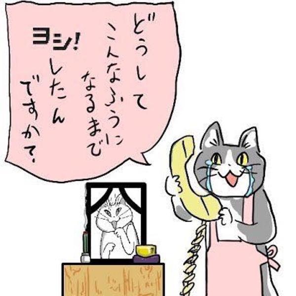現場猫のお題一覧 , ボケて(bokete)