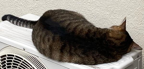 年09月19日夜ごろに投稿されたr O H A Nさんのお題 ボケて Bokete