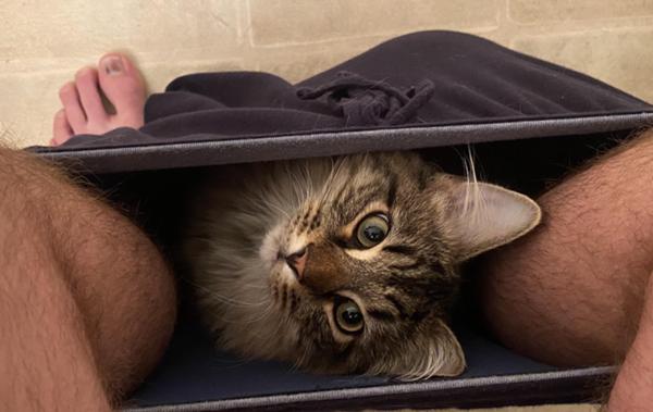 年10月日深夜ごろに投稿されたshileさんのお題 ボケて Bokete