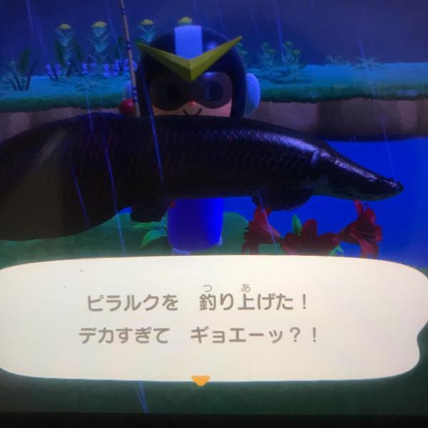 古代生物のお題一覧 ボケて Bokete