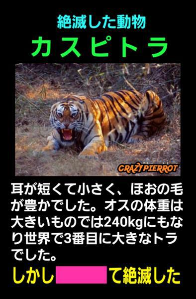 2番目に大きいトラにケンカ売っ ベンガルトラへのボケ[95680243] ボケて（bokete）