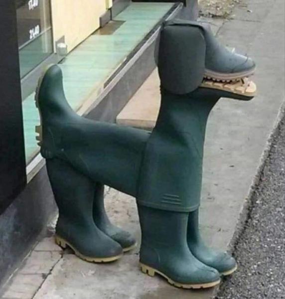 今日のワンコ しっぽへのボケ[81734435] ボケて（bokete）