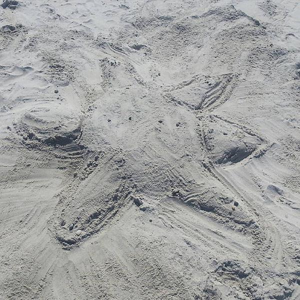 2015年09月04日夜ごろに投稿されたマイヤーさんのお題 ボケて(bokete)