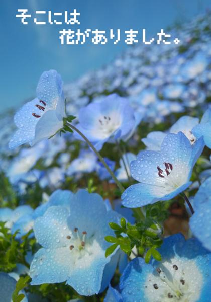 ベイビーブルーアイズの面白ネタ 写真 画像 の人気まとめ ラベル ボケて Bokete ベイビーブルーアイズの面白ネタ 写真 画像 の人気まとめ ラベル ボケて Bokete