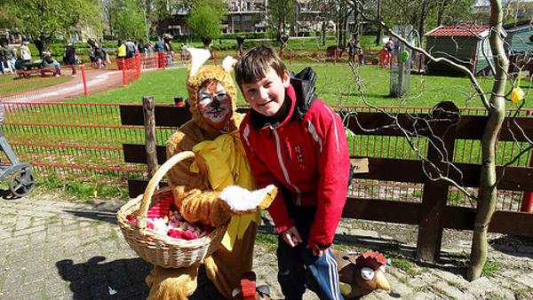 青信号にいぢわるしてやろうと盛り上がる黄色と赤の信号 コミュニティへのボケ[50278418] ボケて（bokete）