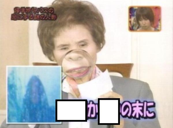 たたかい | 写真で一言ボケて(bokete) - ボケて