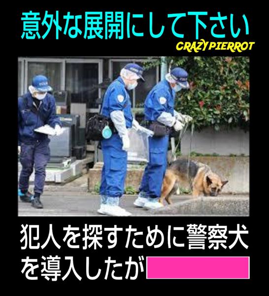 警察犬の面白ネタ 写真 画像 の人気まとめ タグ ボケて Bokete 警察犬の面白ネタ 写真 画像 の人気まとめ タグ ボケて Bokete