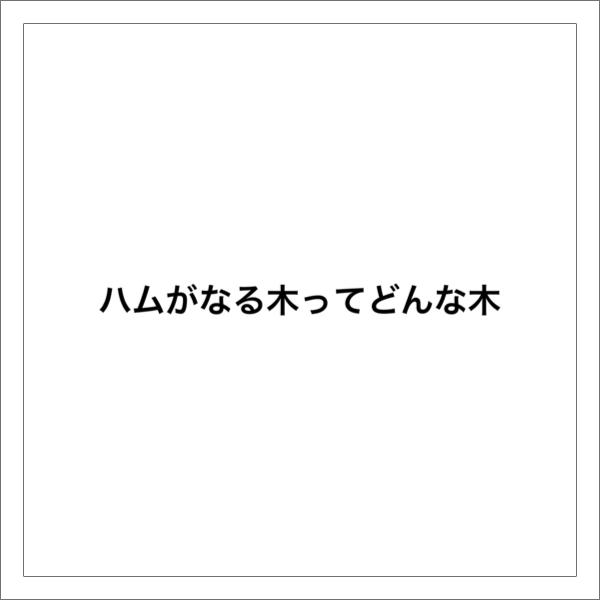 酒池肉林の面白ネタ 写真 画像 の人気まとめ タグ ボケて Bokete