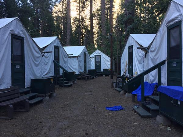 キャンプの面白ネタ 写真 画像 の人気まとめ ラベル ボケて Bokete ページ59