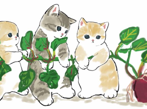 アントニオ 小鉄 アントニオjr ネコへのボケ ボケて Bokete アントニオ 小鉄 アントニオjr ネコへのボケ ボケて Bokete