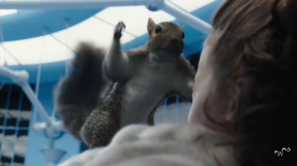 チャリチョコのお題一覧 ボケて Bokete